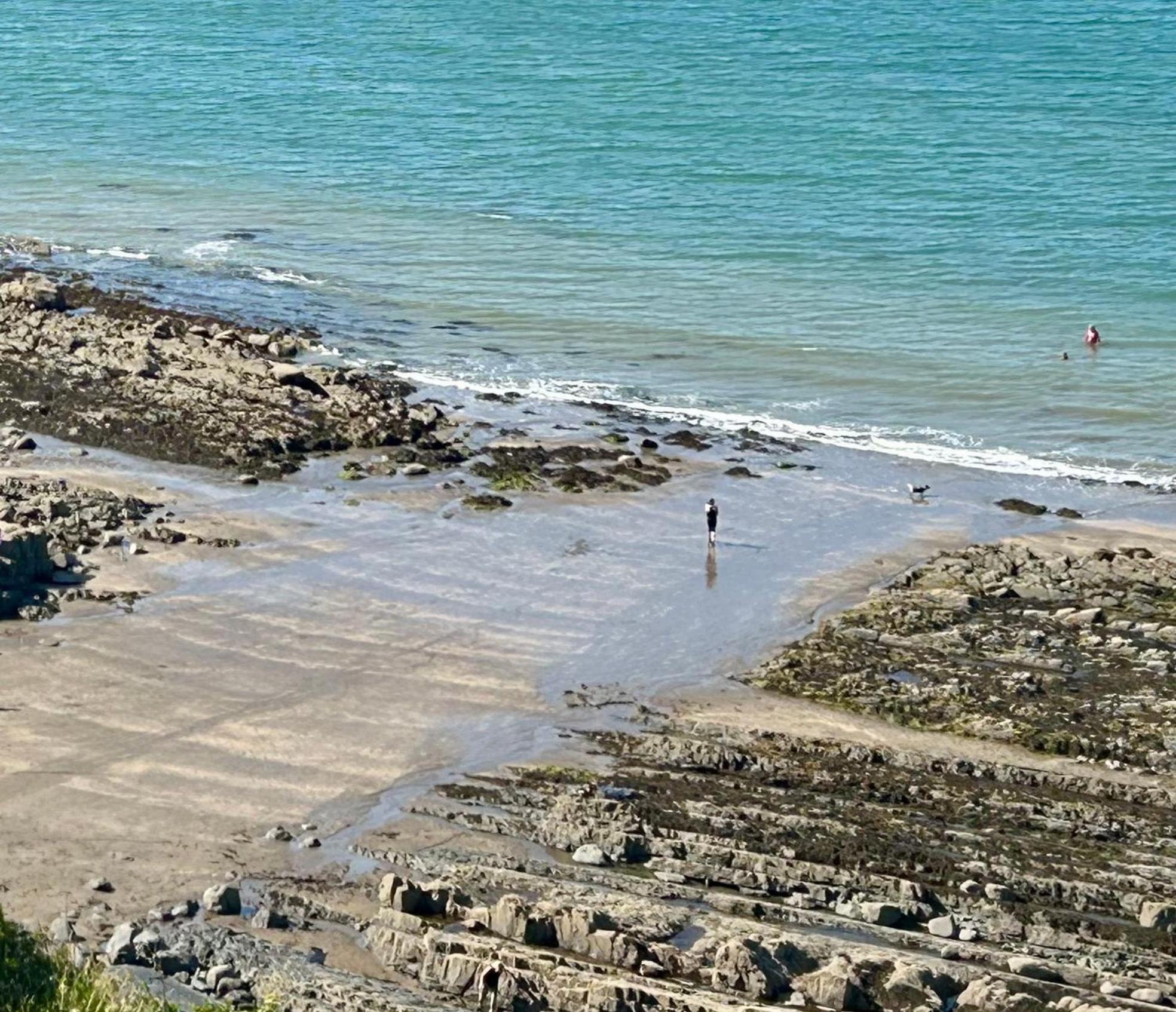 Bucks Mills Cosy Boathouse Cottage By The Sea With Log Burner מראה חיצוני תמונה