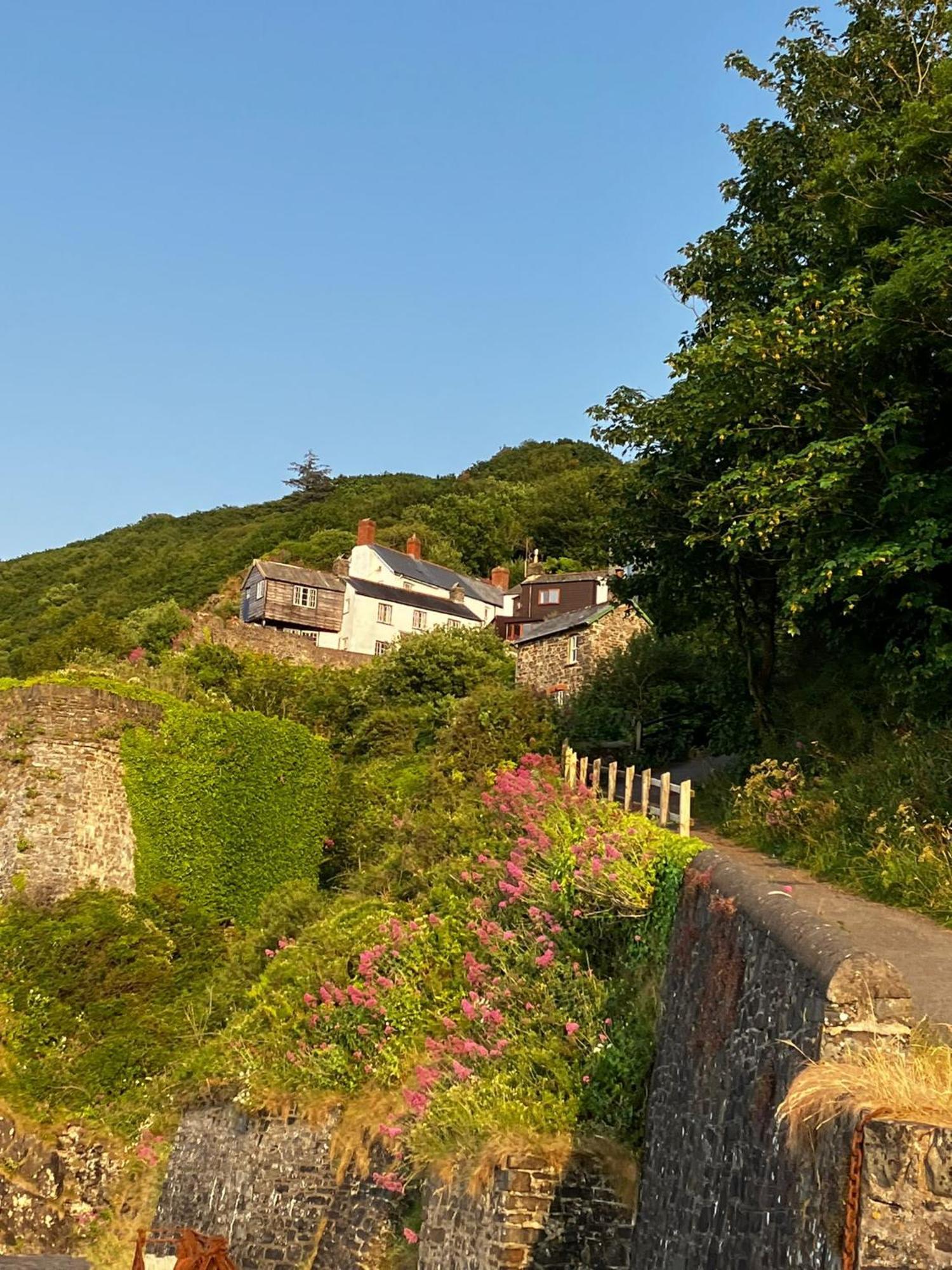 Bucks Mills Cosy Boathouse Cottage By The Sea With Log Burner מראה חיצוני תמונה
