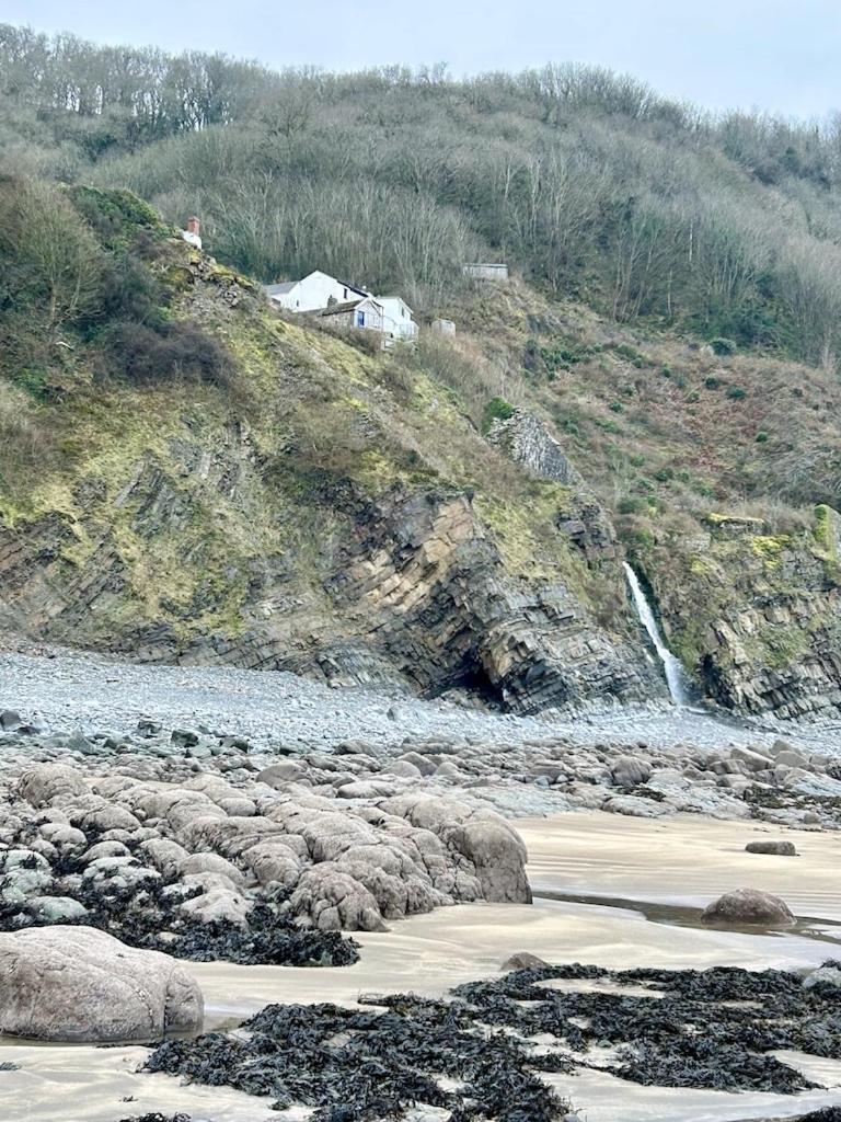Bucks Mills Cosy Boathouse Cottage By The Sea With Log Burner מראה חיצוני תמונה